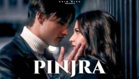 Pinjra Lyrics- Asim Riaz